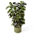 Rusty Concrete Pot Indoor Plants 3D model small image 1