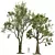 Grand Angel Oak Tree Replica 3D model small image 1