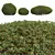 Pyrrosia Lingua Hedge Sphere 3D 3D model small image 2