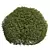 Pyrrosia Lingua Hedge Sphere 3D 3D model small image 3