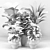 Diverse Plant Assortment - 3D Models 3D model small image 5