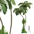 Ancient Tree Fern 3D Model 3D model small image 1