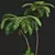 Ancient Tree Fern 3D Model 3D model small image 2