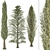 Outdoor Pine Tree Trio 3D model small image 1