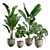 Exotic Indoor Plants Pack 23 3D model small image 1