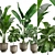 Exotic Indoor Plants Pack 23 3D model small image 2