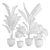 Exotic Indoor Plants Pack 23 3D model small image 3