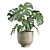 Exotic Indoor Plants Pack 23 3D model small image 4