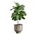 Exotic Indoor Plants Pack 23 3D model small image 5