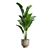 Exotic Indoor Plants Pack 23 3D model small image 6