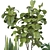 Modern Indoor Plant Collection Kit 3D model small image 2