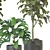 Modern Indoor Plant Collection Kit 3D model small image 3