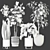 Modern Indoor Plant Collection Kit 3D model small image 4