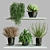 Modern Collection Indoor Plant Set 3D model small image 1