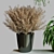 Modern Collection Indoor Plant Set 3D model small image 2