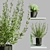 Modern Collection Indoor Plant Set 3D model small image 4