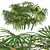 Rhapis Excelsa 3D Palm Models 3D model small image 3