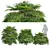 Lux Rhapis Excelsa Palm Set 3D model small image 1