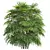 Lux Rhapis Excelsa Palm Set 3D model small image 4