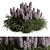 Purple Hyacinth Bush Set 84 3D model small image 1