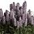 Purple Hyacinth Bush Set 84 3D model small image 2