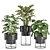 Modern Indoor Plant Set 028 3D model small image 2