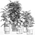 Modern Indoor Plant Set 028 3D model small image 3