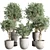 252 Plant Tree Vase Collection 3D model small image 1