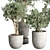 252 Plant Tree Vase Collection 3D model small image 2