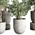 252 Plant Tree Vase Collection 3D model small image 3