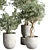 252 Plant Tree Vase Collection 3D model small image 4