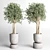 252 Plant Tree Vase Collection 3D model small image 6