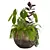  2013 Outdoor Plants Set display 3D model small image 2