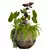  2013 Outdoor Plants Set display 3D model small image 3