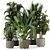 Cecilia Ficonstone Planters Set 869 3D model small image 1