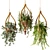 Ethnic Bamboo Hanging Plants 3D model small image 1