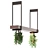 Modern Pendant Light with Hanging Plant 3D model small image 4