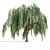 Cascade Willow Trees Pack 3D model small image 3