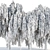 Cascade Willow Trees Pack 3D model small image 6