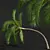 Exquisite Areca Catechu Palm Art 3D model small image 2