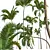 Exquisite Areca Catechu Palm Art 3D model small image 4