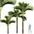Exquisite Areca Catechu Palm Ensemble 3D model small image 1