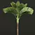Exquisite Areca Catechu Palm Ensemble 3D model small image 4