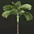 Exquisite Areca Catechu Palm Ensemble 3D model small image 5