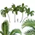 Exquisite Areca Catechu Palm Tree 3D model small image 1