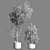 Title: Indoor Plants Collection Set 3D model small image 2