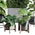 Urban Jungle Collection: Ficus Monstera Palm 3D model small image 4