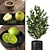 Modern Fruit Decor Set 3D model small image 3