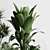 Modern Indoor Plant Collection Vase 3D model small image 4