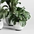 Modern Indoor Plant Collection Vase 3D model small image 5